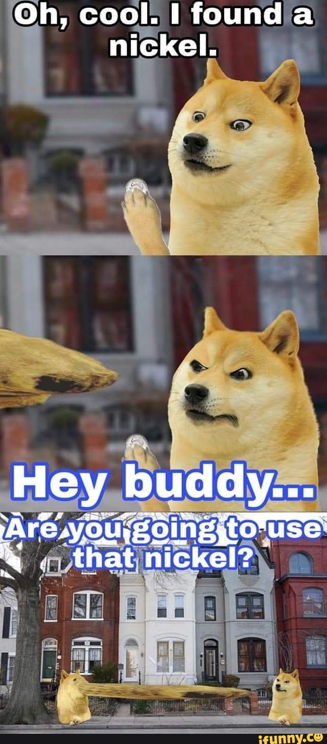 Doge Bot on X: #memes #funny #doge #postironic #postironicdoge #ifunny #XD  #lol #dogememe #dogecoin #dogecapital #DogEatingFestival #dogebtc #dogeusd   / X