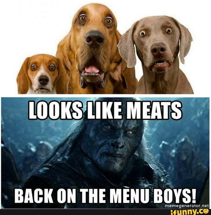 LOOKS LIKE MEATS BACK ON THE MENU BOYS! iFunny Brazil