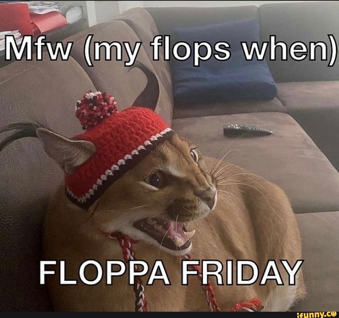 FLOPPA FRIDAY  Memes, Cat memes, Funny animal jokes