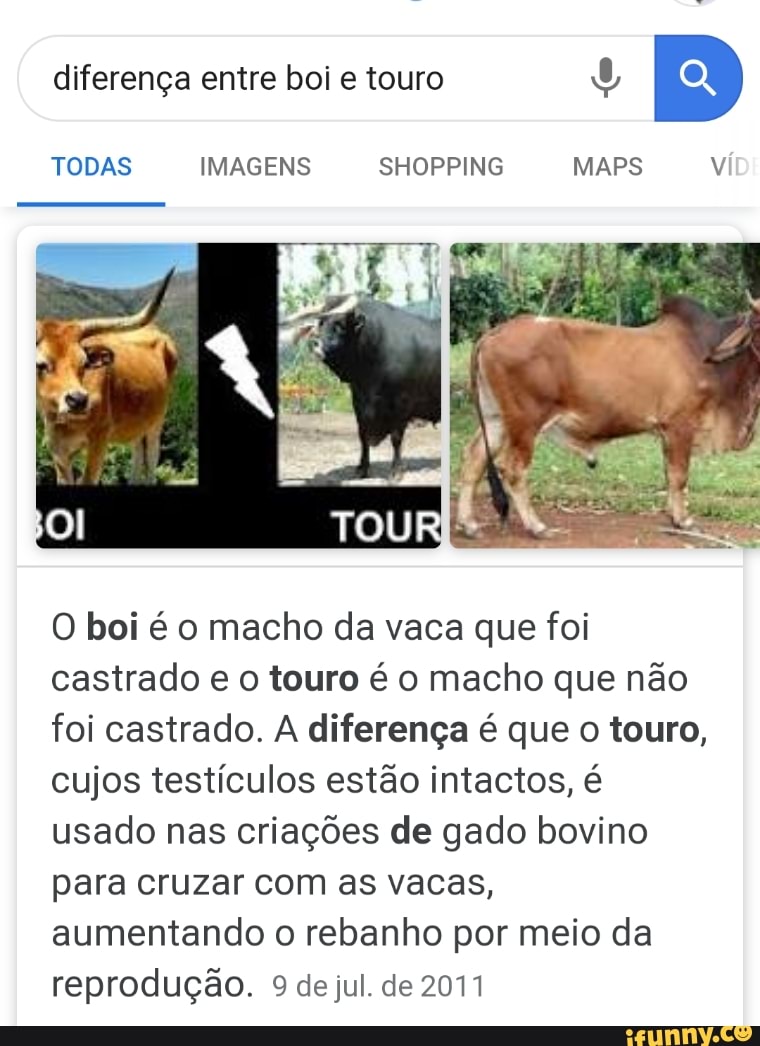 Diferença entre boi e touro 4 O boi é o macho da vaca que foi castrado ...