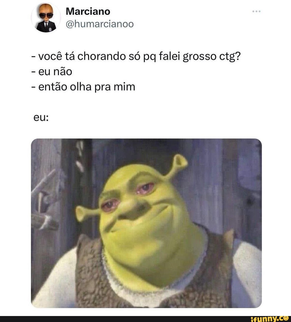 NÃO É MEME as APENAS OLHE PARA SHREK - iFunny Brazil