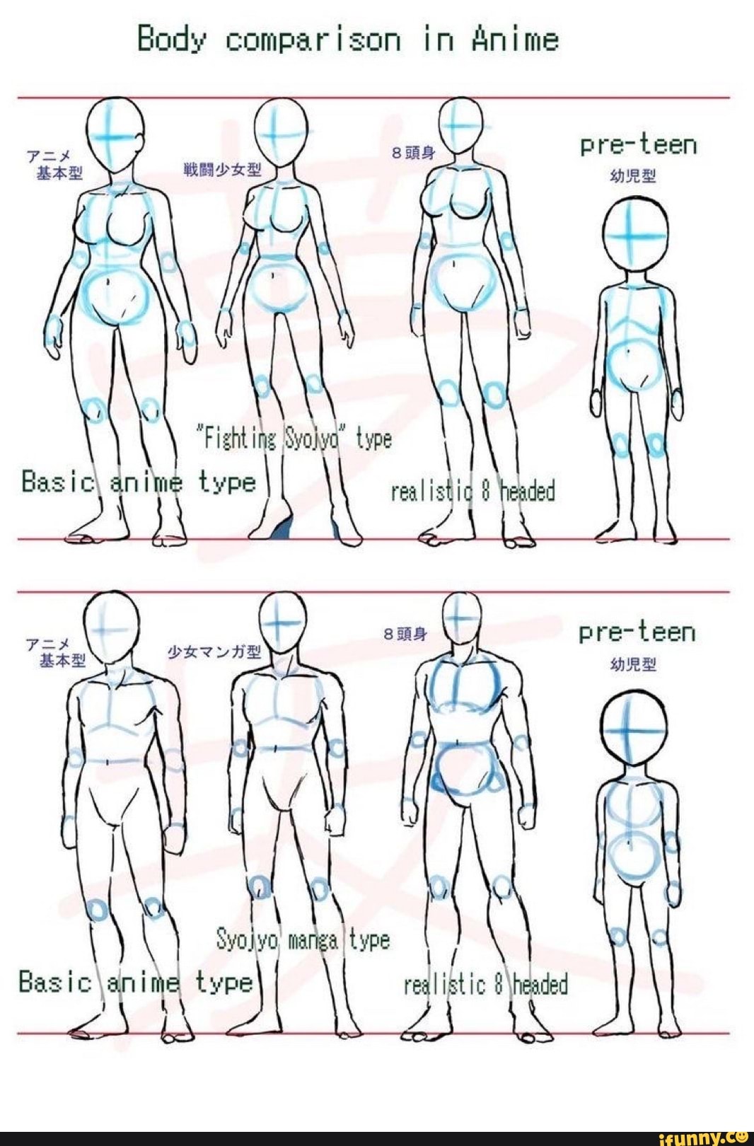 Unique Body Type Reference Realistic Female Body Type Chart