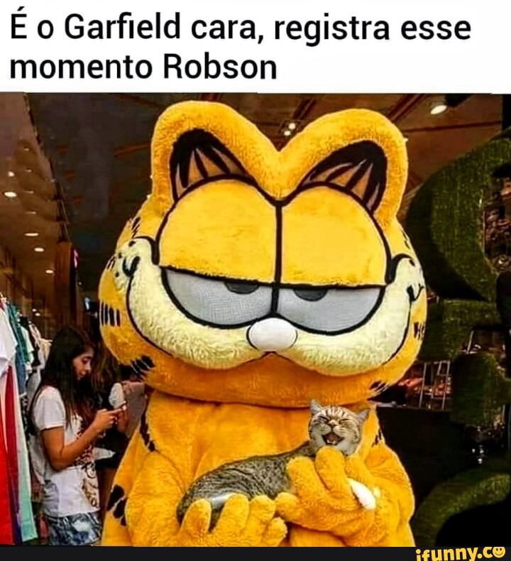 cara de garfield