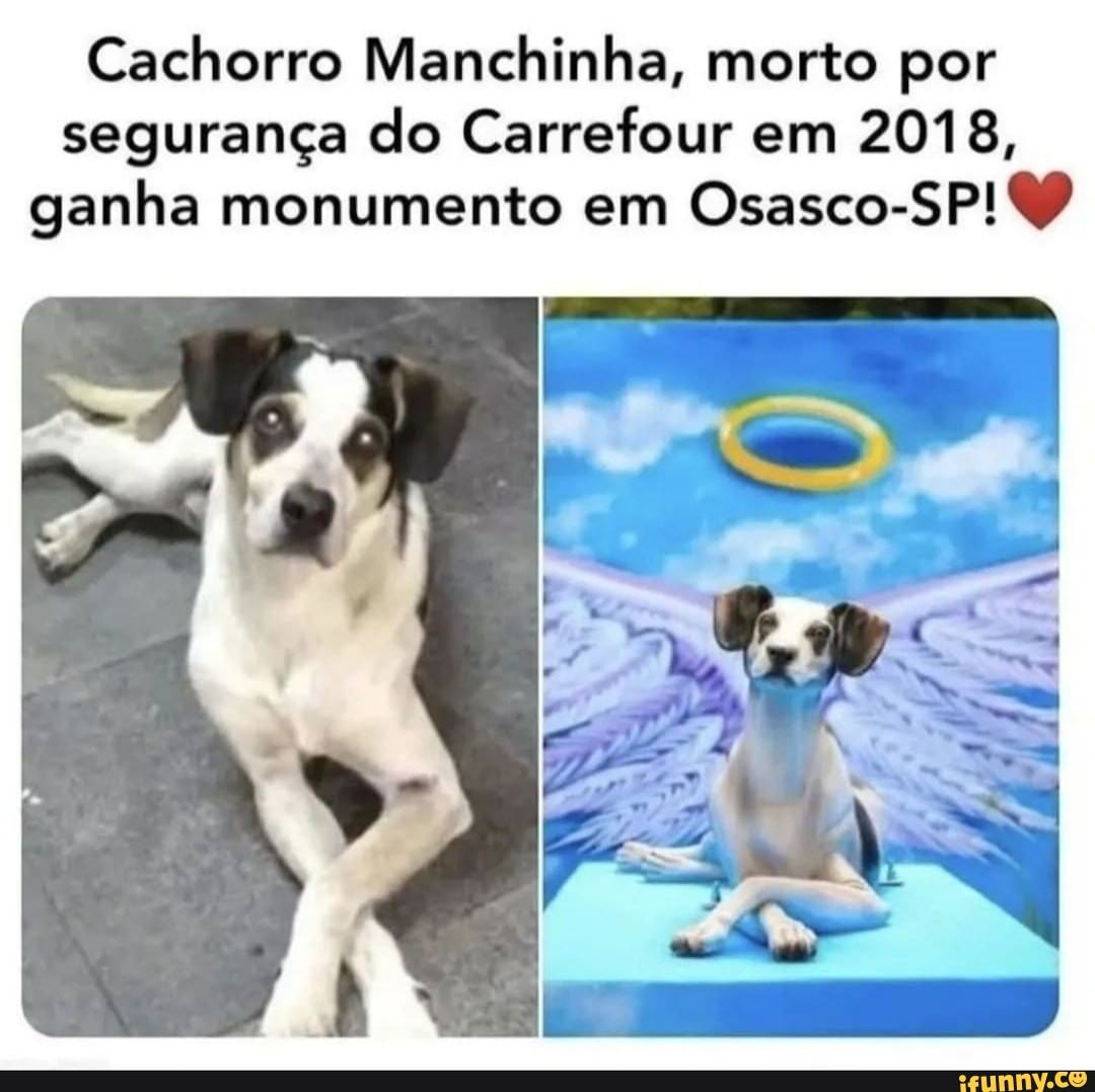 Osásco memes. Best Collection of funny Osásco pictures on iFunny Brazil