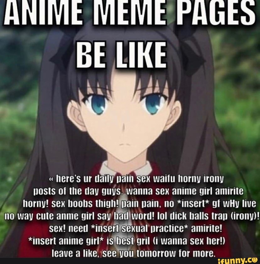 ANIME MEME PAGES BE LIKE  here's ur daily pain Sex waifu horny irony hosts  of the