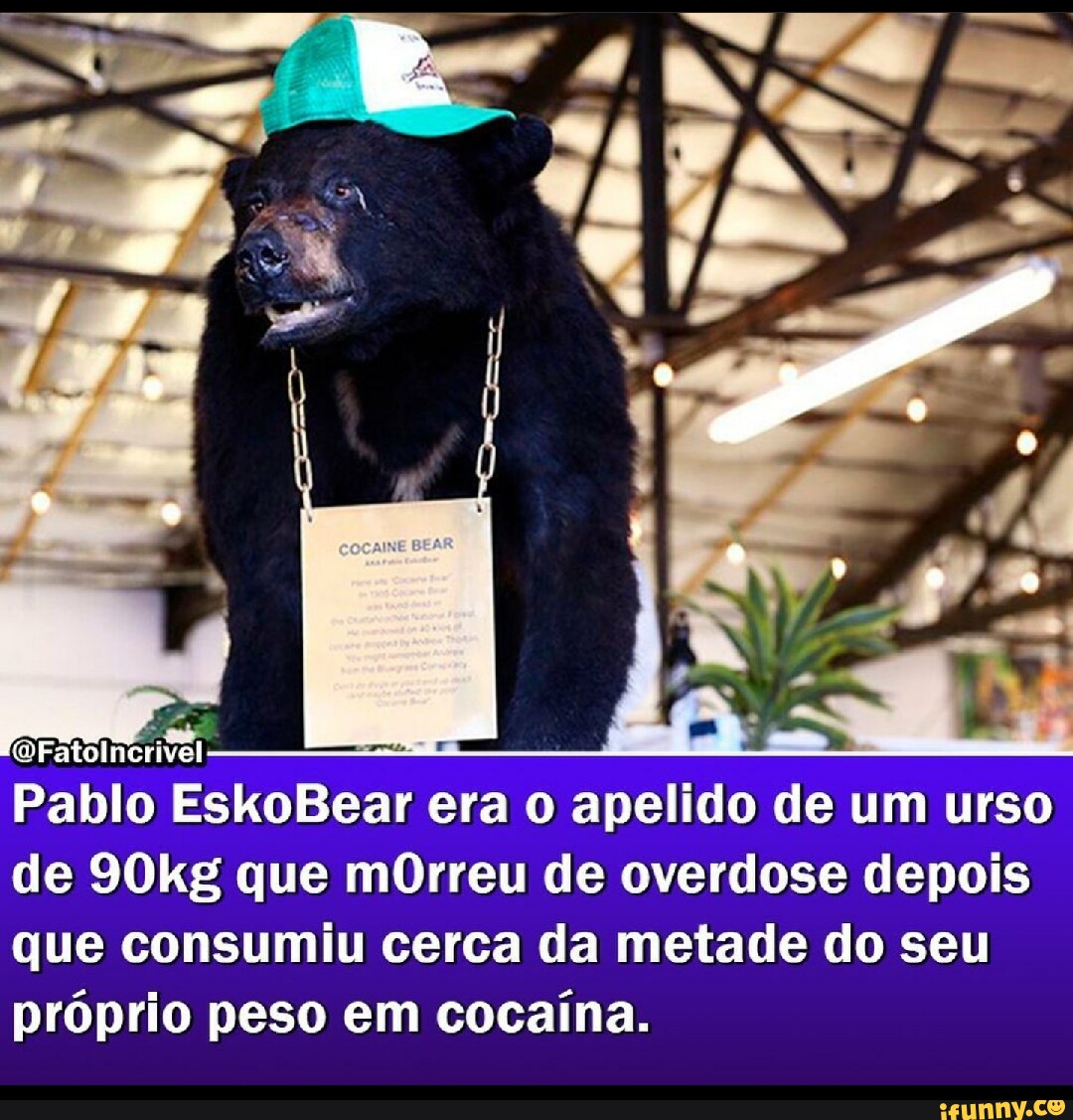 O Urso do Pó Branco mostra um urso cocainômano