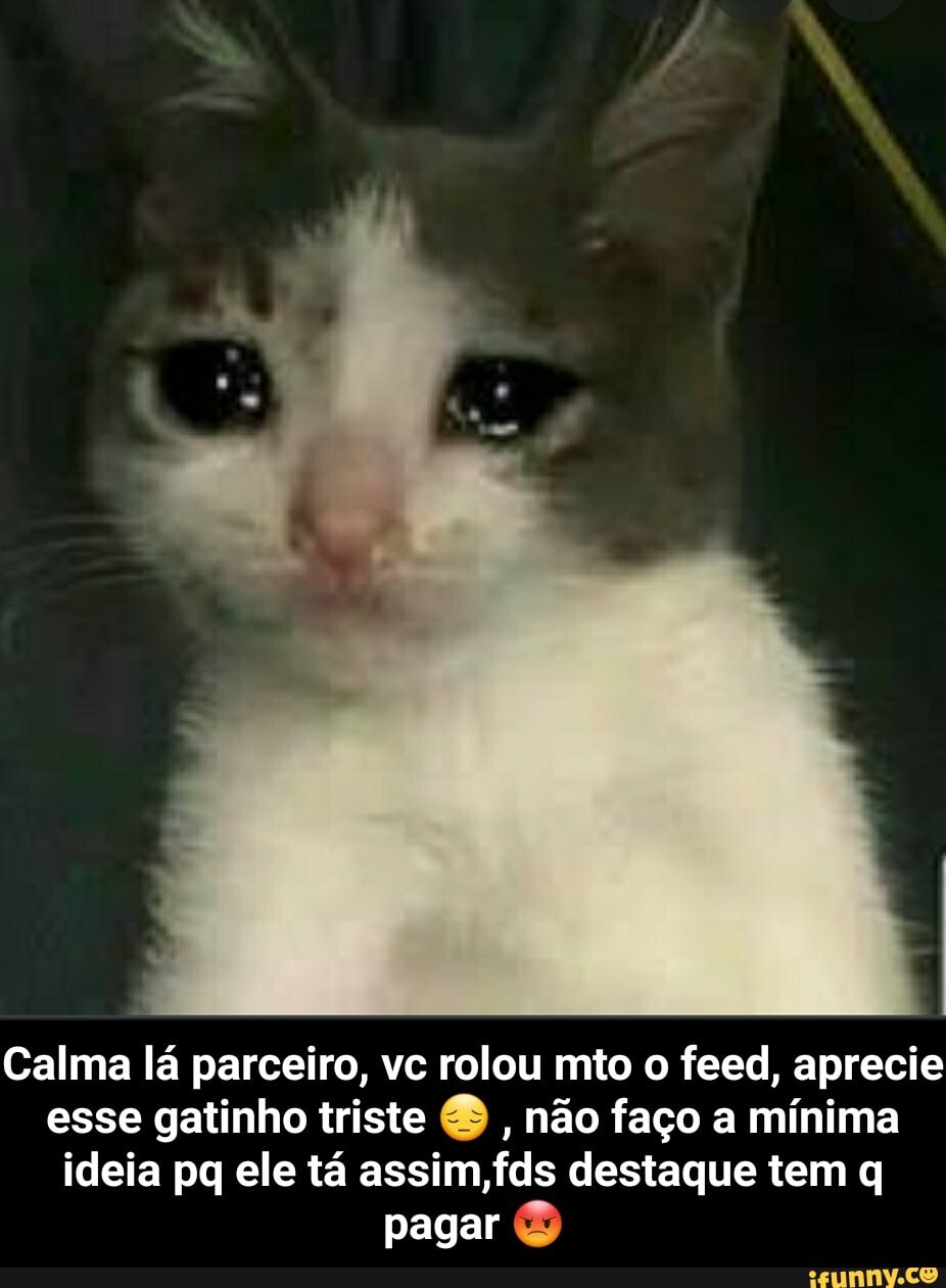 Tocar e sentir - Você é o meu gatinho fofo?