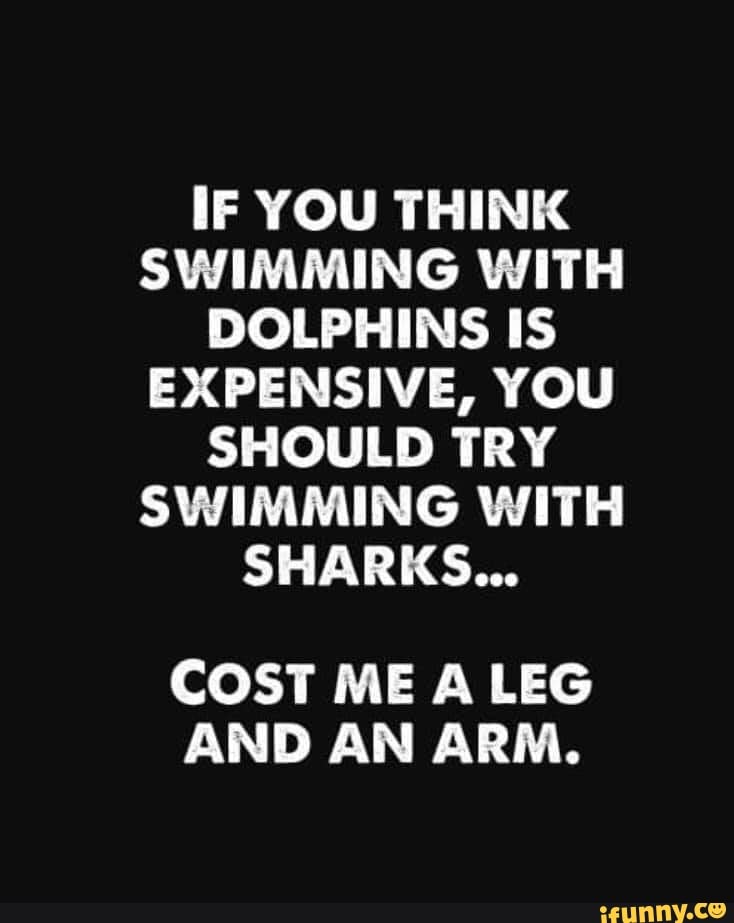 IF YOU THINK SWIMMING WITH DOLPHINS IS EXPENSIVE, YOU SHOULD TRY ...