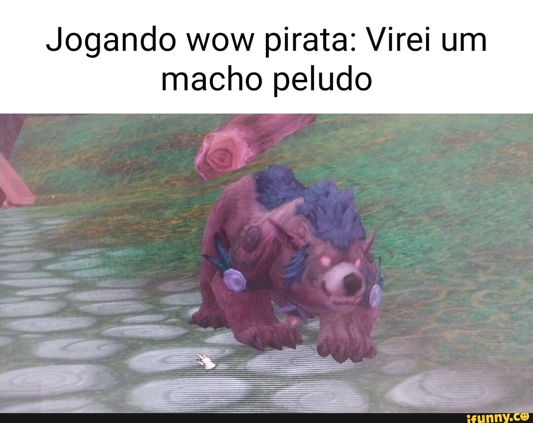 Jogando wow pirata: Virei um macho peludo - iFunny Brazil