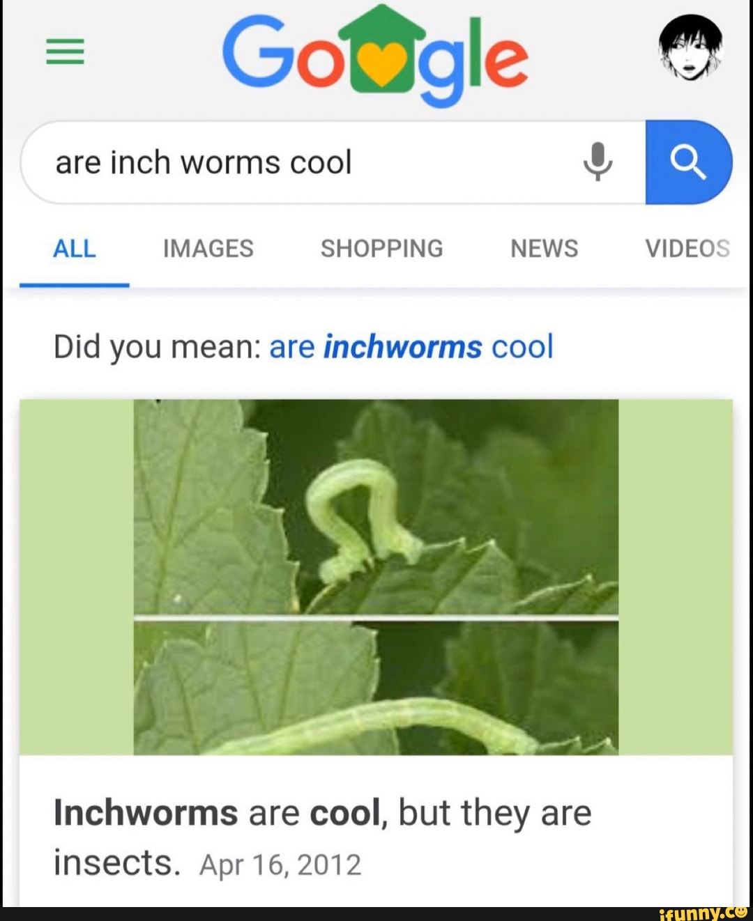 ALL IMAGES SHOPPING NEWS VIDEOS Did you mean: are inchworms cool ...