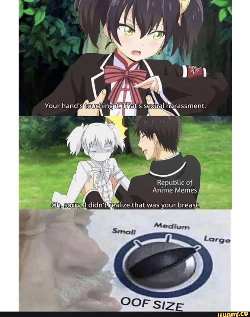 Anime sexual meme