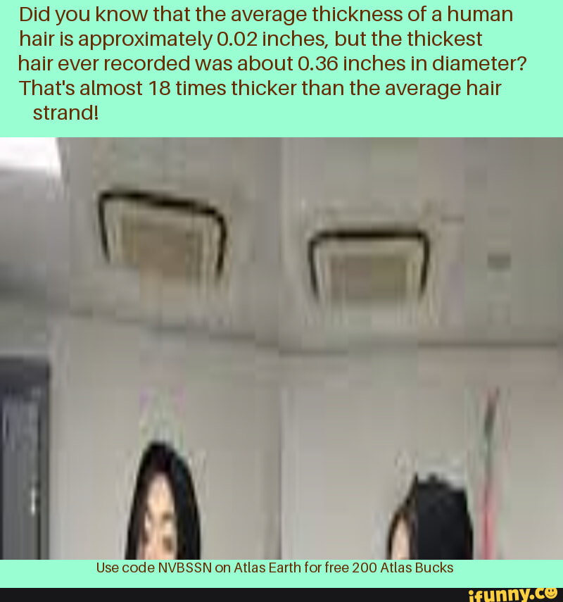 Thickness of human 2025 hair in inches