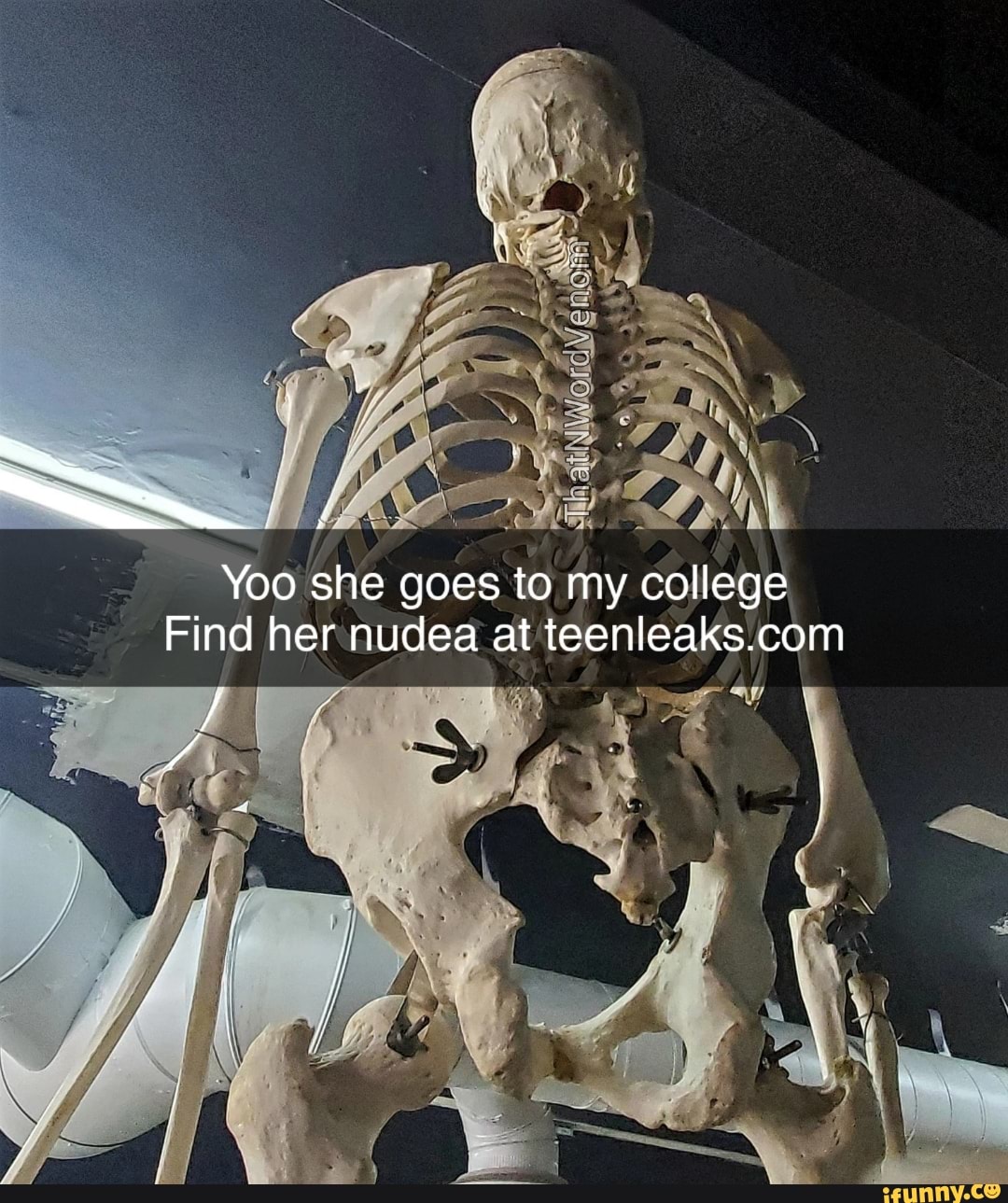 Yoo she goes to my college Find her nudea at teenleaks.com - iFunny Brazil