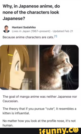 kitten  Kitten, Anime memes, Anime