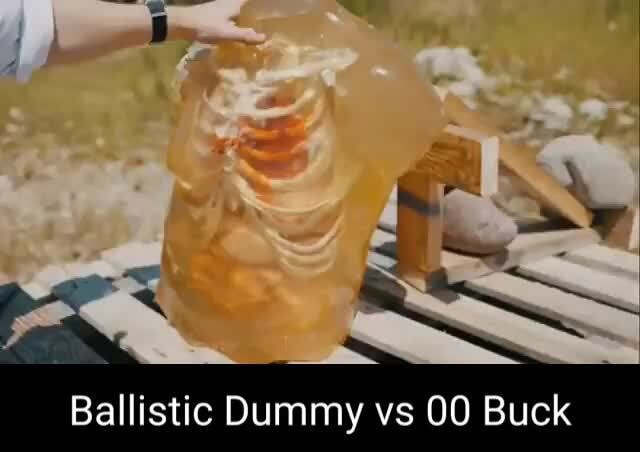 Ballistic Dummy vs 00 Buck - iFunny Brazil