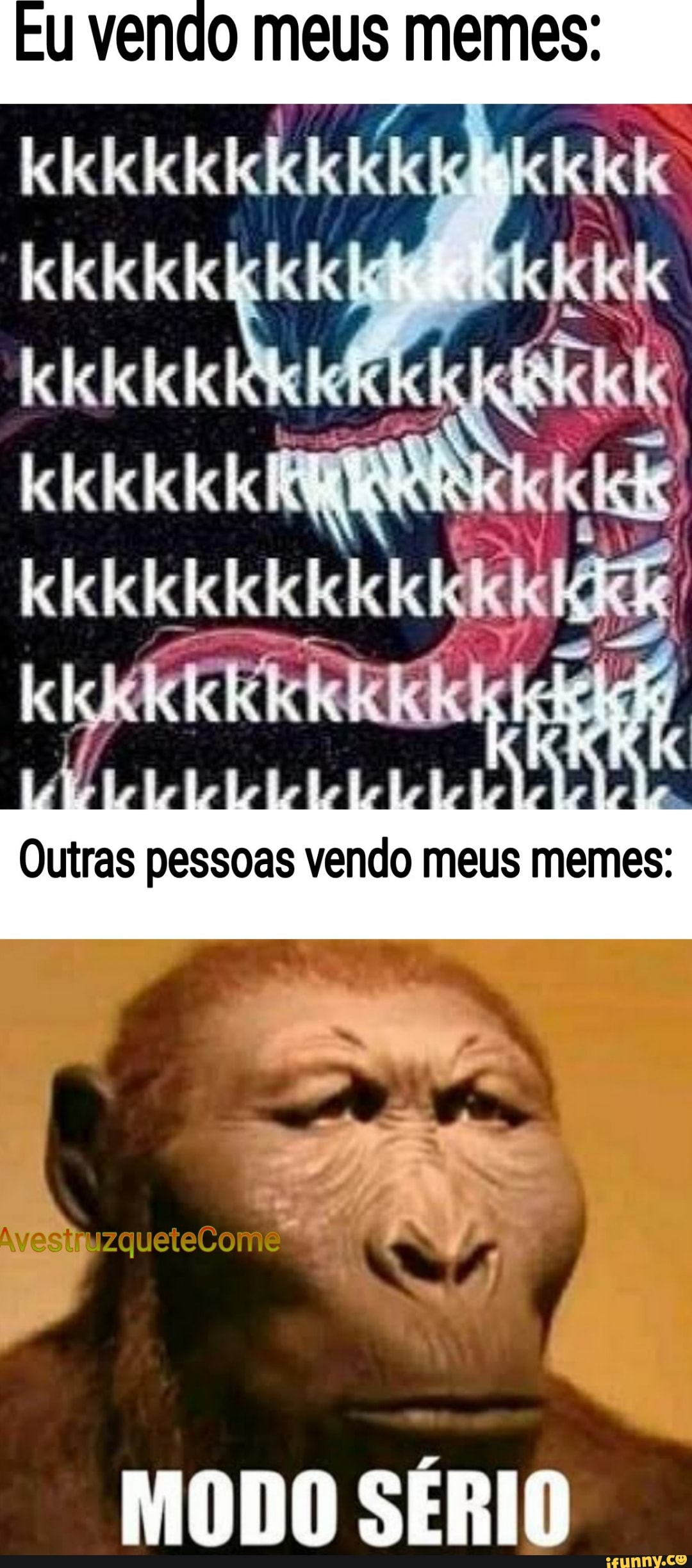 Meus Memes