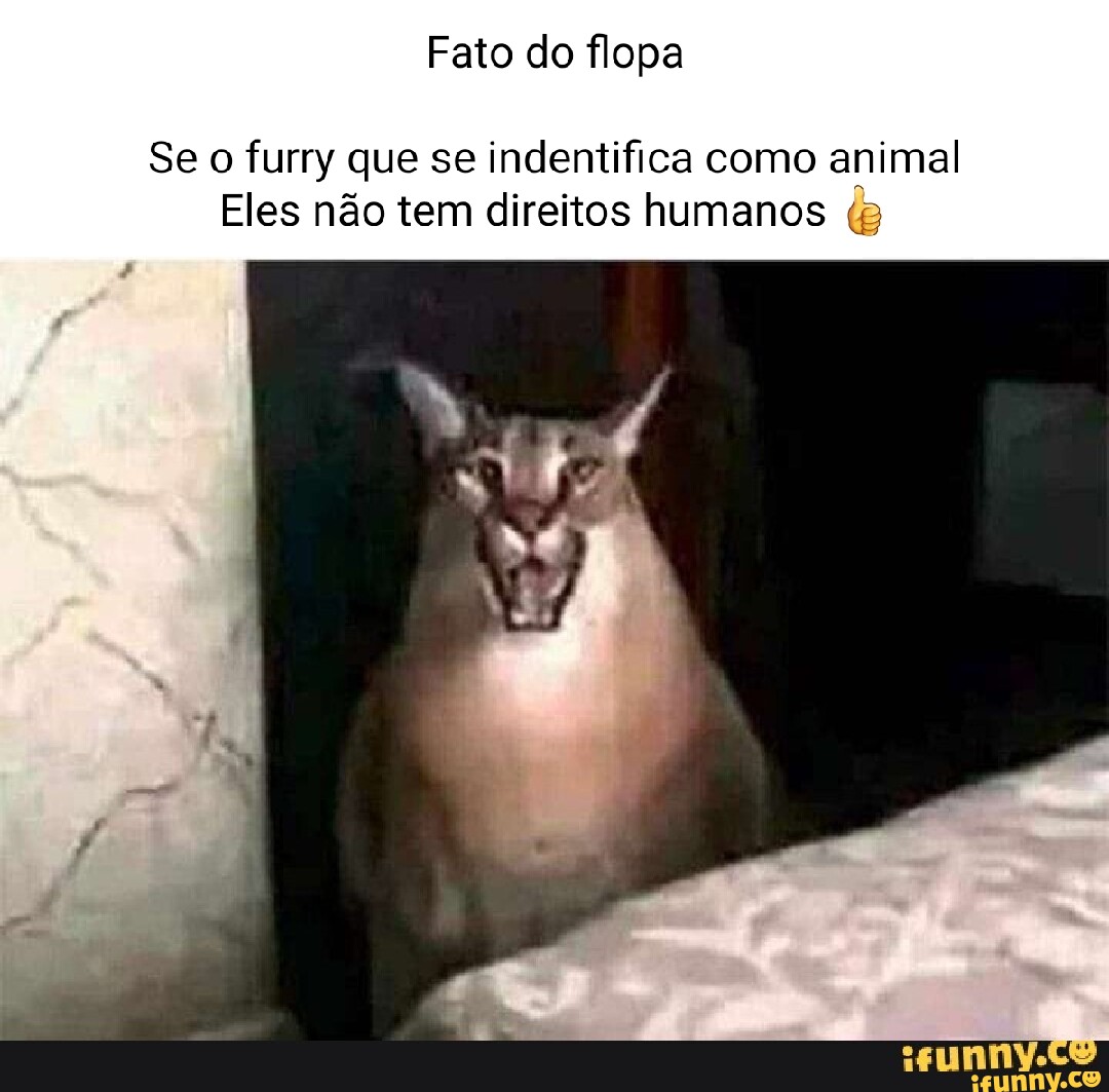 Flopar memes. Best Collection of funny Flopar pictures on iFunny Brazil