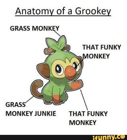 ZARUDE Type: Dark/Grass Asiity: Lear Guarp Oh boy, another monkey Pokémon -  Oh boy, another monkey Pokémon - iFunny Brazil