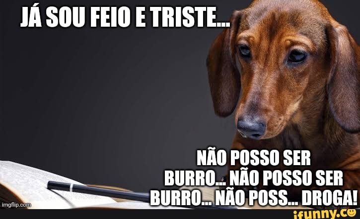 Burro, pensa na coisa mais triste que jájte aconteceu. Puxa, cara, por onde  é que eu começo?: - iFunny Brazil