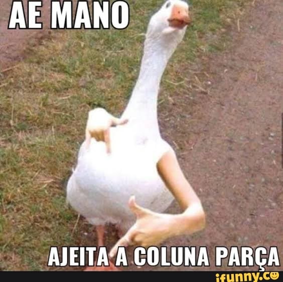 A coluna tá boa mano, - iFunny Brazil