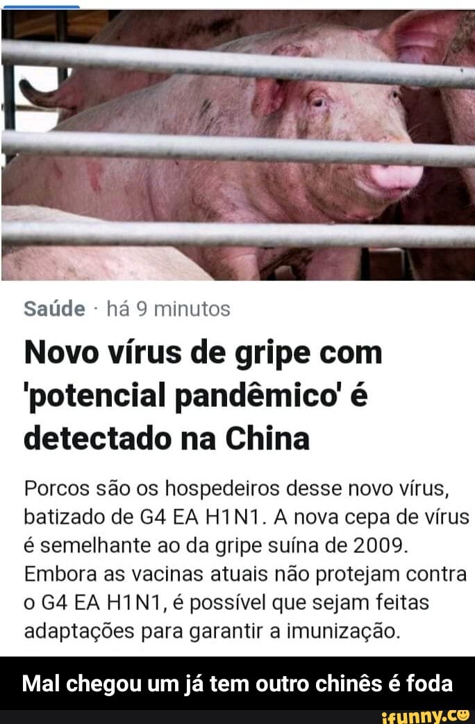 G4 EA H1N1: Novo vírus com potencial pandémico detetado na China