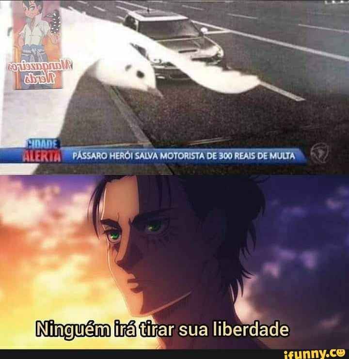 Shingekinokyojin memes. Best Collection of funny Shingekinokyojin pictures  on iFunny Brazil