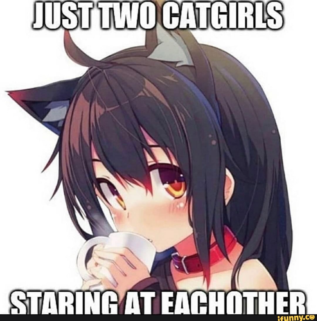 Catgirl memes. Best Collection of funny Catgirl pictures on iFunny Brazil