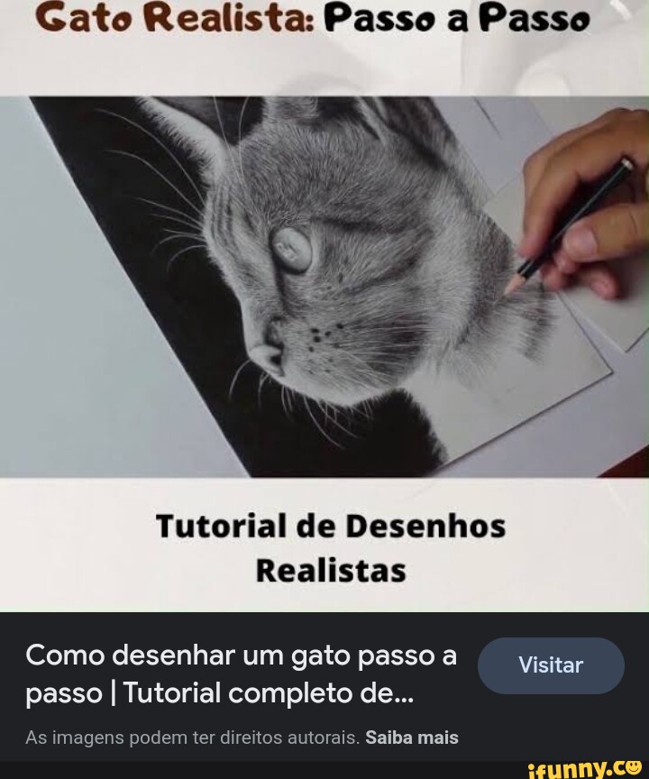 Como desenhar um gato 