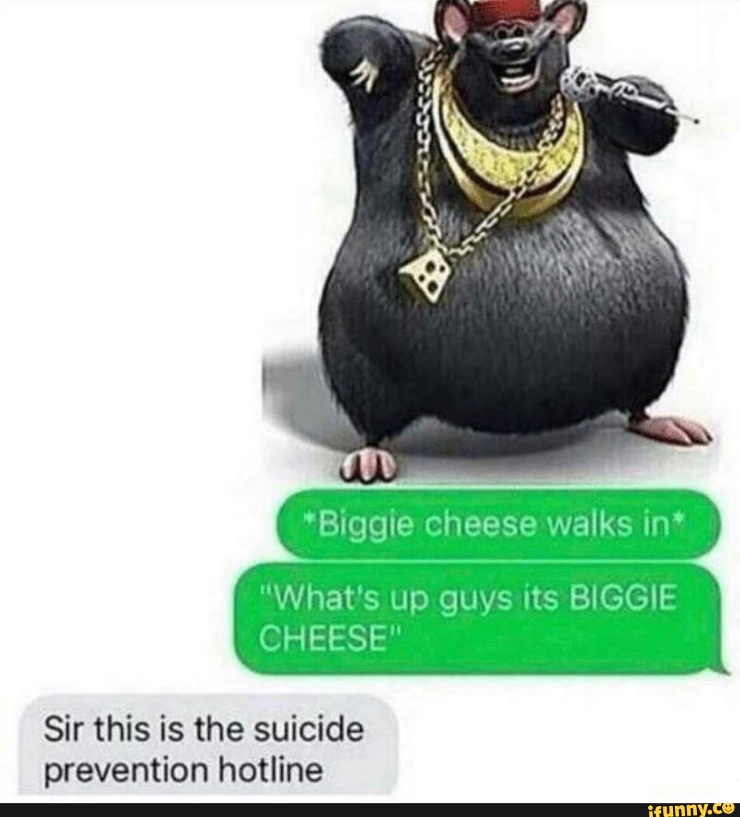 Biggie cheese walks in* What's up guys its BIGGIE CHEESE Sir this is the  suicide - iFunny Brazil