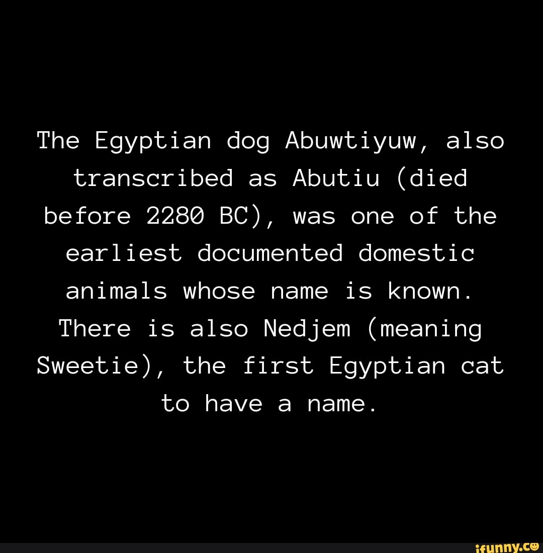 Egyptian sales dog meaning