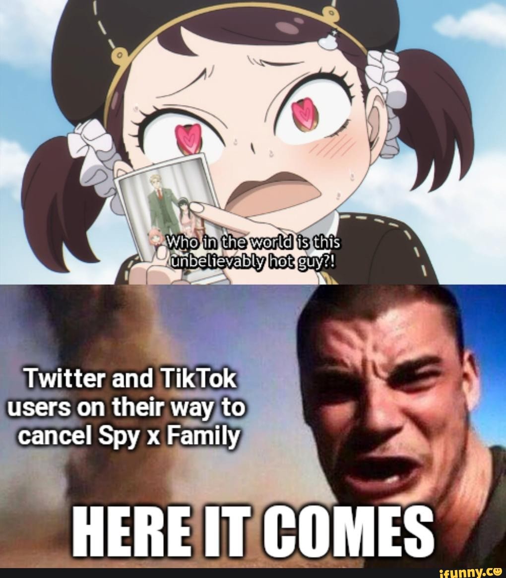 SPY X FAMILY MEMES 