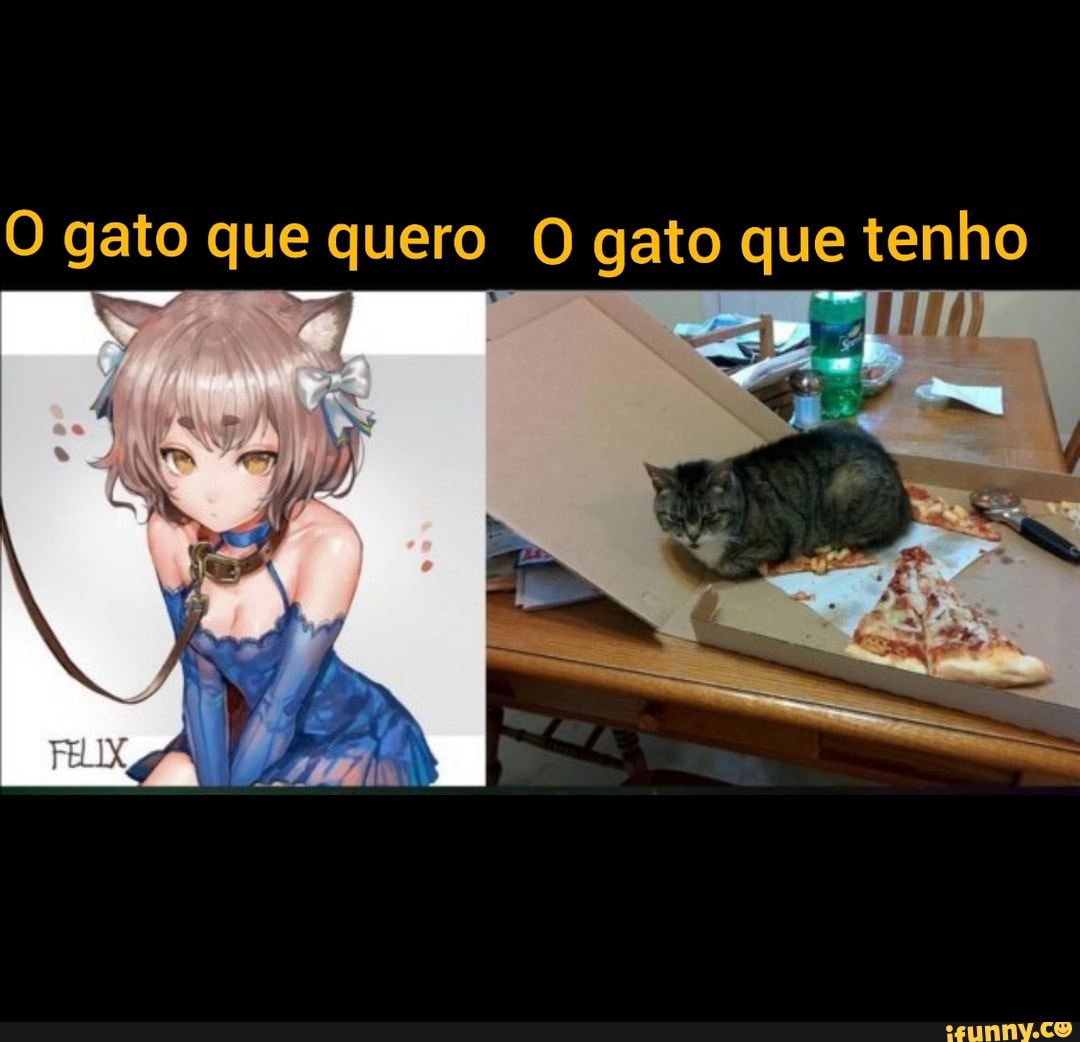 Gatos na vida real gatos nos animes - iFunny Brazil