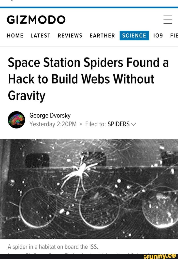 GIZMODO = HOME LATEST REVIEWS EARTHER SCIENCE 109 FIE Space Station Spiders  Found a Hack to Build