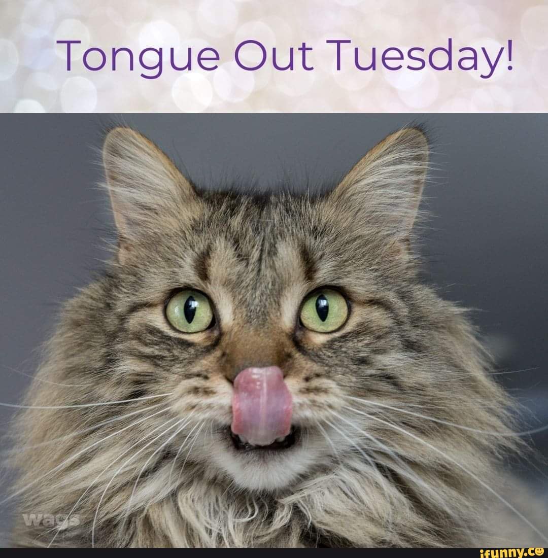 Tongue Out Tuesday! - iFunny Brazil