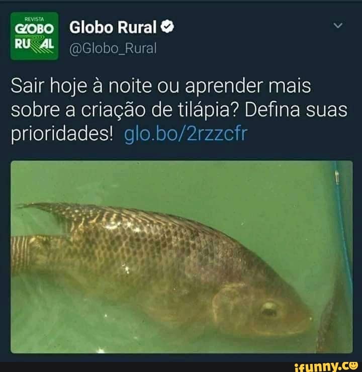 Globo Rural (@Globo_Rural) / X