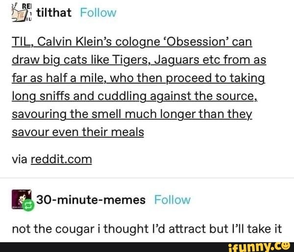 Titthat Follow TIL, Calvin Klein's cologne 'Obsession' can draw