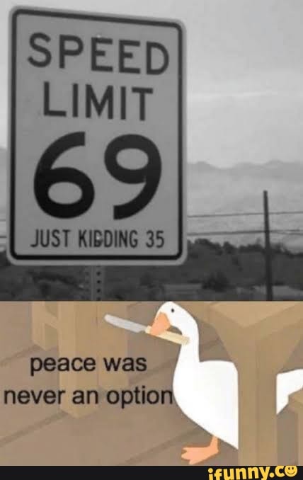 Goose memes. Best Collection of funny Goose pictures on iFunny Brazil