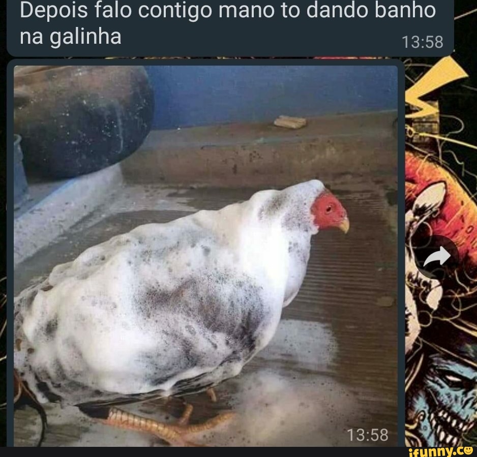 Depois falo contigo mano to dando banho na galinha - iFunny Brazil