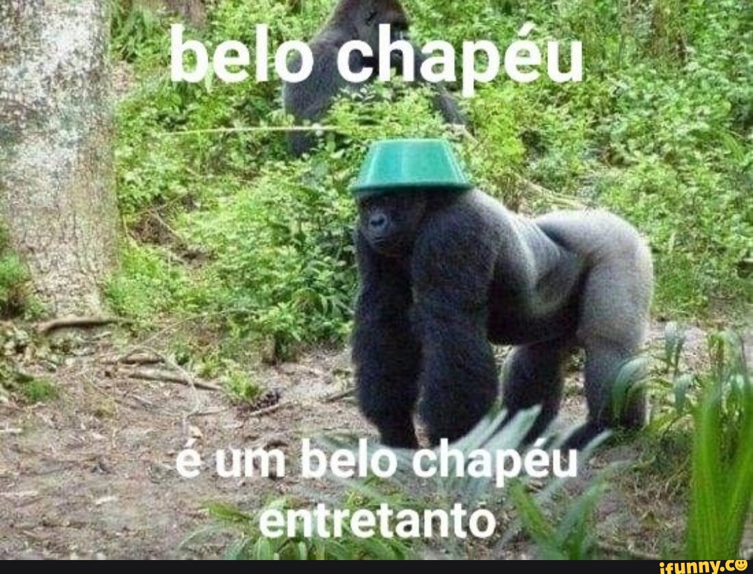 Olhem essa foto que tirei de uma nuvem que parece um gorila baforando -  iFunny Brazil