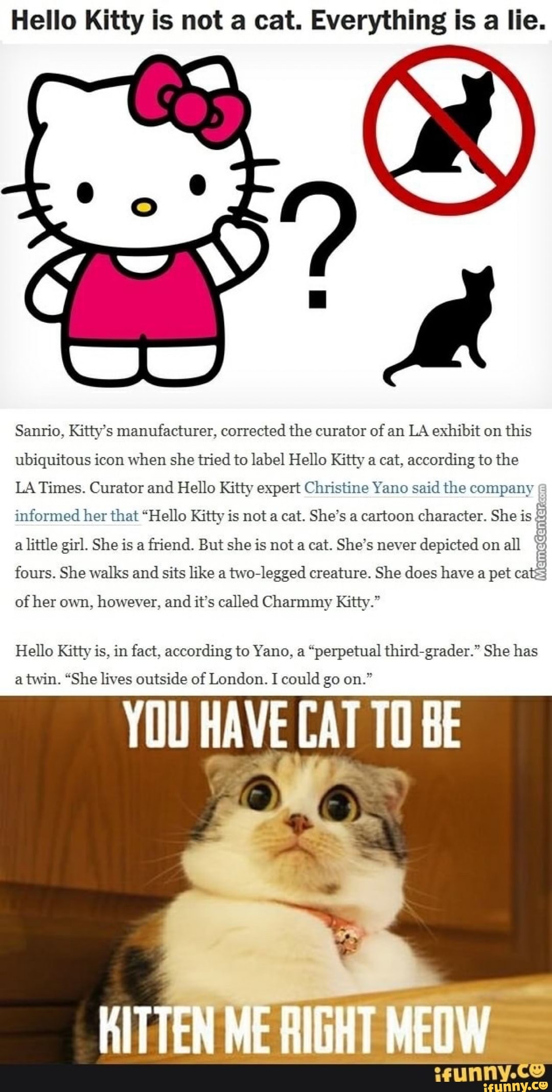 Hello kitty перевод на русский. Hello Kitty Мем. Кити кэтс. Китти не кошка. Почему у hello Kitty нет рта.