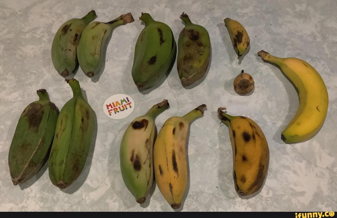 Fruits memes. Best Collection of funny Fruits pictures on iFunny Brazil