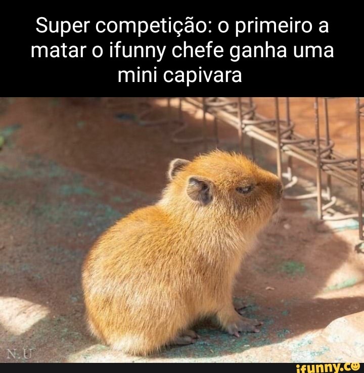 Personagens que você ganharia na porrada (ou não) on X: Capivara