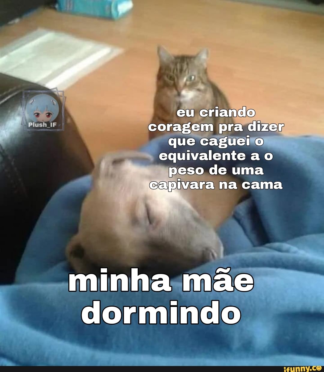 Uma capivara dormido - iFunny Brazil