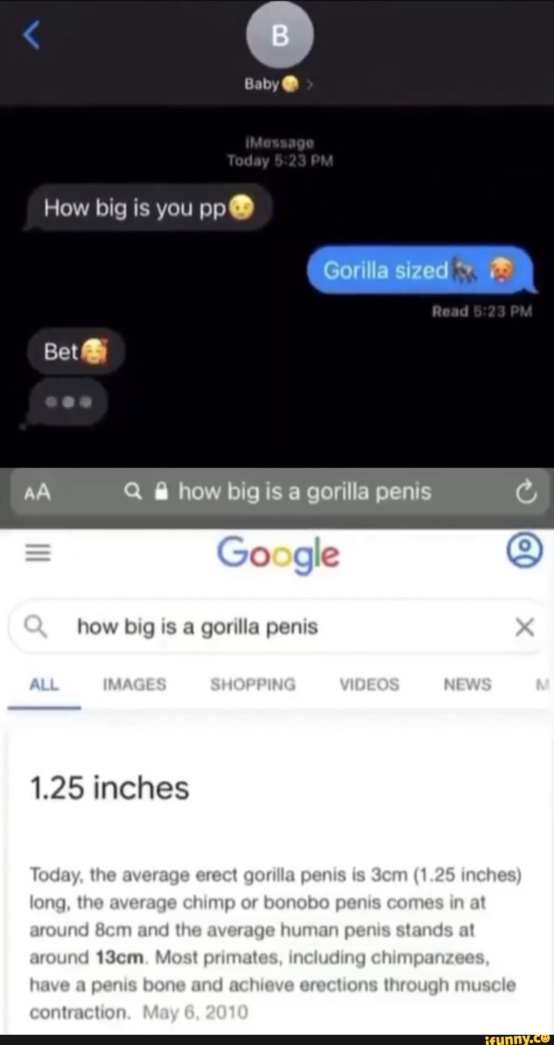 Baby How big is you pp@ Bet() AA Q @ how bigis a gorilla penis how