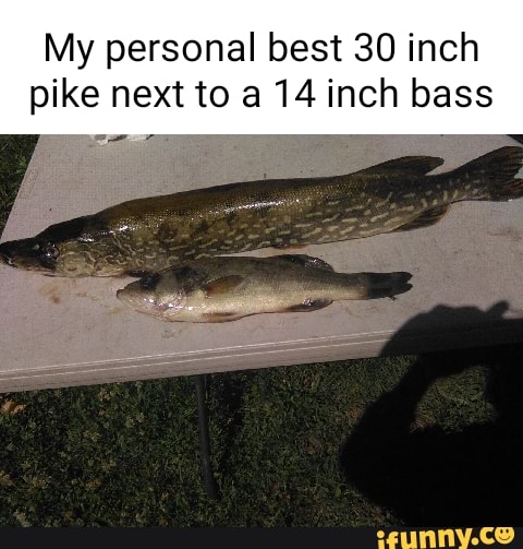 My Personal Best Bass