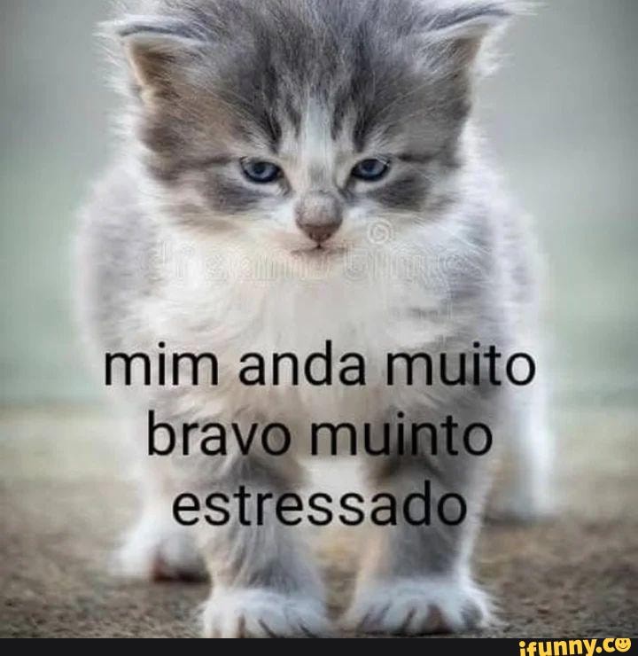 Muimto memes. Best Collection of funny Muimto pictures on iFunny Brazil