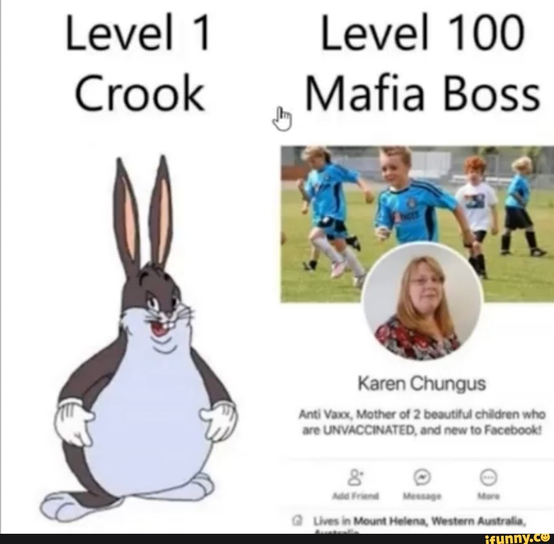 Level 1 Crook