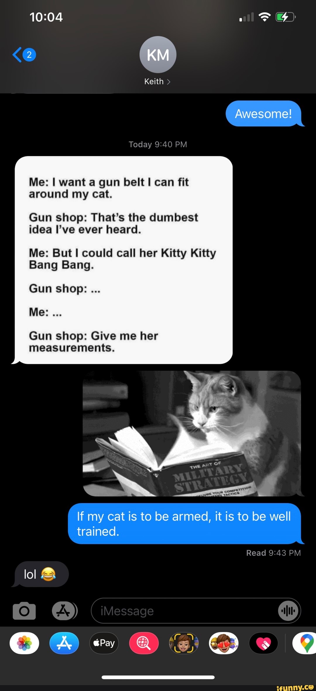 Hit. N TO TALK TO YOUR CAT ABOUT GUN SAFETY - iFunny Brazil