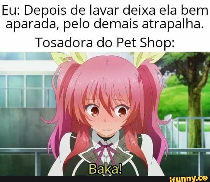 Rakudai memes. Best Collection of funny Rakudai pictures on iFunny Brazil