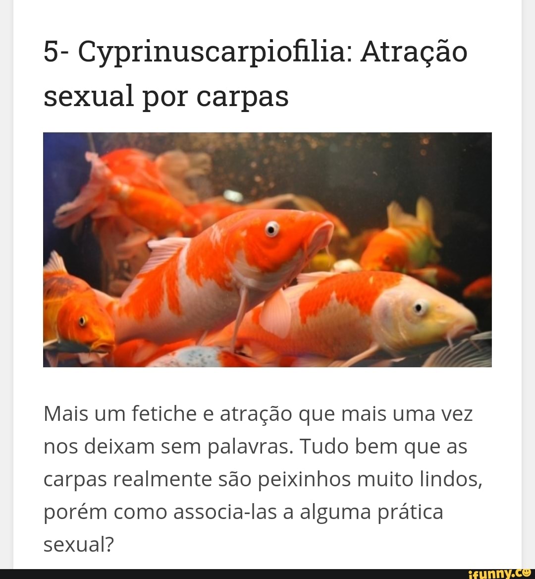 5- Cyprinuscarpiofilia: Atração sexual por carpas Mais um fetiche e atração  que mais uma vez nos